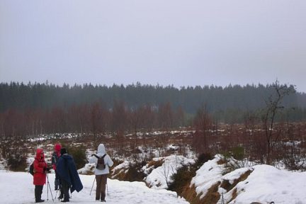 Les Fagnes, tourbières au point culminant de la Belgique