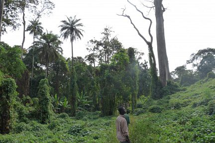 Trekking au Ghana - vue 2