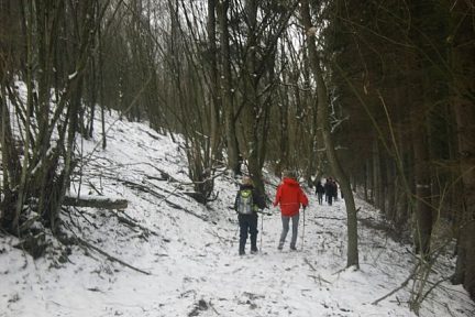 Ardenne 