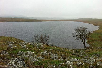 Lac de Saint Andéol, Aubrac, randonnée en Lozère