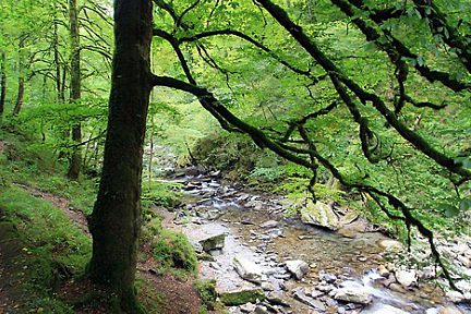 Les arbres sont bien verts en cette fin septembre