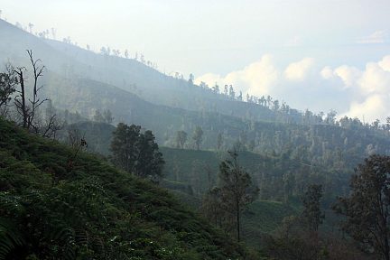 De beaux paysages en Indonésie