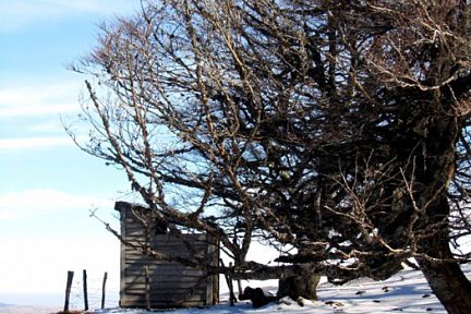 Cabane sur l'Aubrac, entre Laguiole et Aubrac