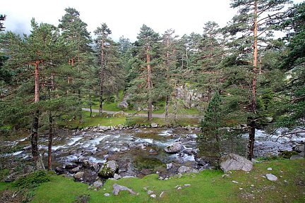Vallée du Marcadau et son cours d'eau