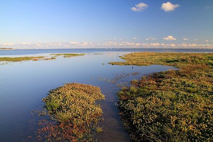 Bassin d'Arcachon au niveau d'Andernos