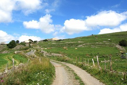 Sur le PR en randonnée vers la Cascade du Déroc, Aubrac