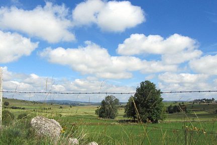 Le Plateau de l'Aubrac, près de Nasbinals