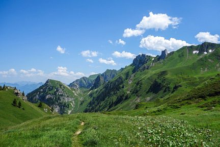 Entre bleu et vert