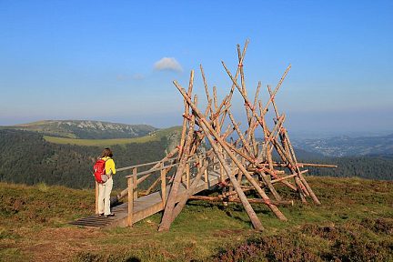 Sculpture de bois en vallée de Chaudefour