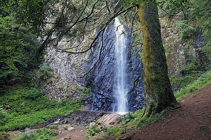 Cascade du Queureuilh près du Mont-Dore