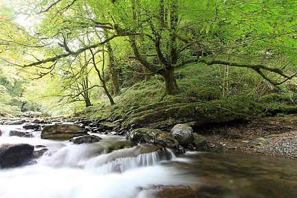 Cours d'eau au début du sentier d'Holzarte