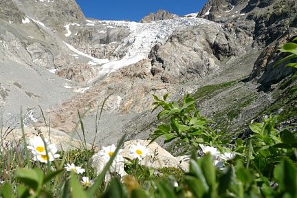 Le Glacier Blanc, Massif des Ecrins, au départ du pré de mme Carle