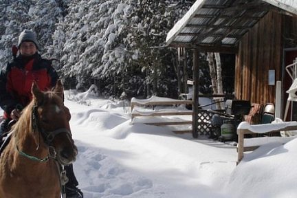 Randonnée équestre dans la neige au Québec