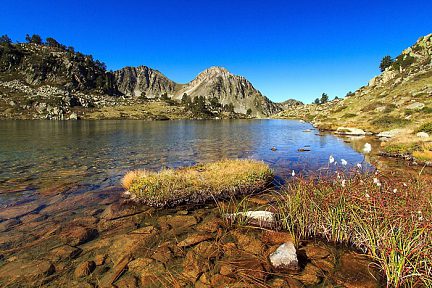 Lac aux linaigrettes dans le massif du Néouvielle, Hautes-Pyrénées