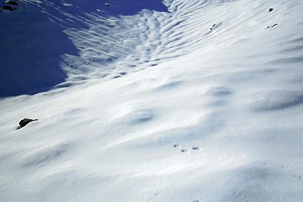 Vue depuis Hautacam