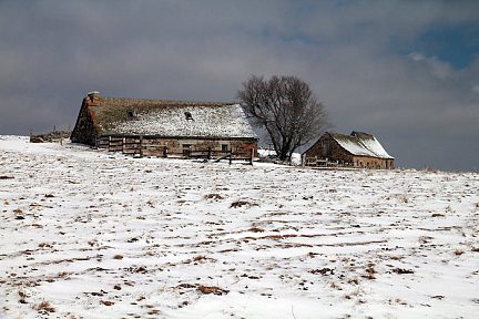 Aubrac sous la neige