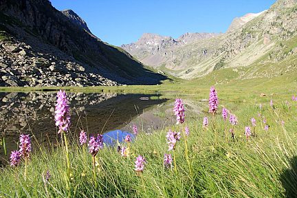 Lac de Cestrède