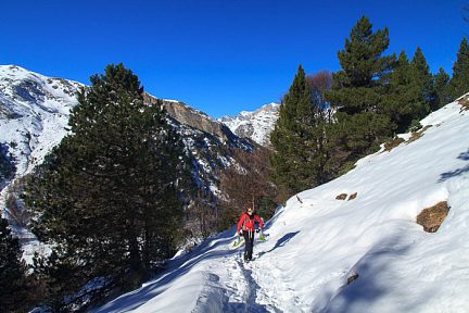 Nous sortons enfin de la forêt