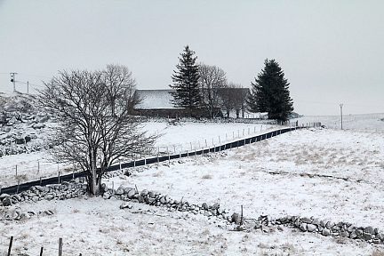 Fine couche de neige sur le plateau de l'Aubrac
