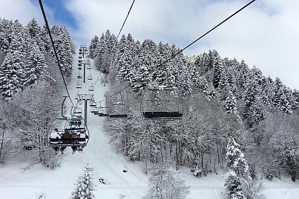 Neige sur les sapins à Barèges
