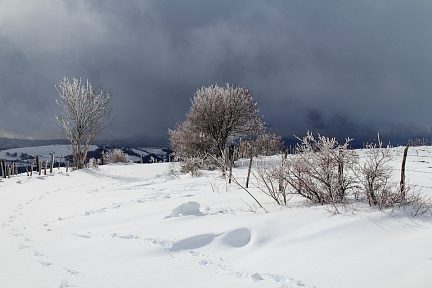 Épaisse neige et éclaircie sur le plateau de l'Aubrac