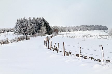 Balade dans la neige en Aveyron - 1