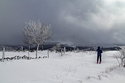 Balade dans la neige en Aveyron - 2