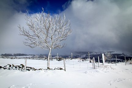 Balade dans la neige en Aveyron - 3
