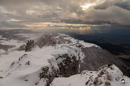 Depuis la Ferrure
