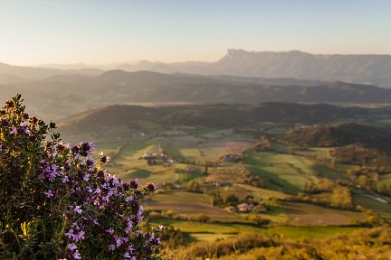 Depuis la croix de Saint Pancrace