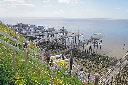 Fleurs et cabanons en face de Talmont sur Gironde