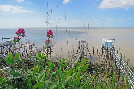 Cabanes tchanquées, à côté de Talmont sur Gironde