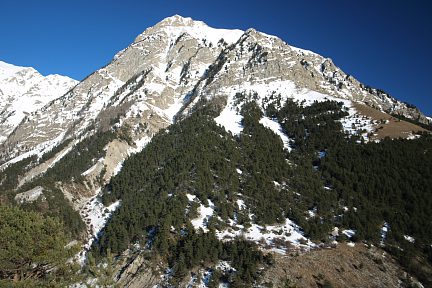 Tête de Siguret Barcelo