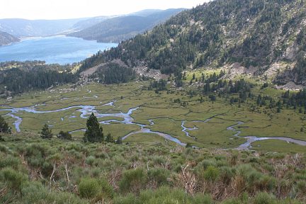 Lac des Bouillouses et marécage