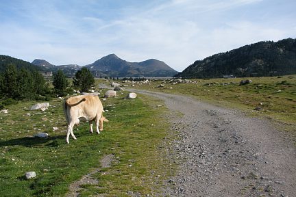 Pla des Bones Aures aux Bouillouses