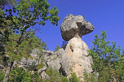 Rocher à tête d'animal, Chaos de Montpellier le Vieux