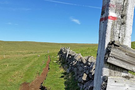 GR65, entre Aubrac et Nasbinals