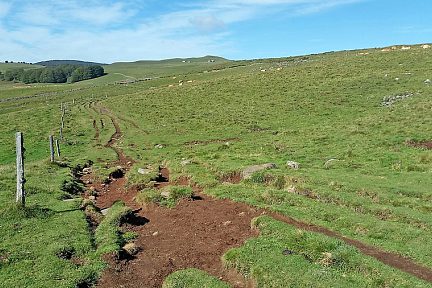 Le chemin de St Jacques, Aubrac