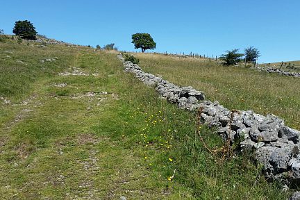 Chemin GR6 longeant les près