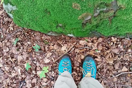 Déjà un tapis de feuilles d'automne