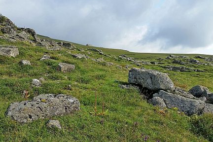 On apperçoit au loin le buron