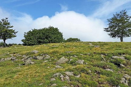 Aux alentours du Puy de Gudette