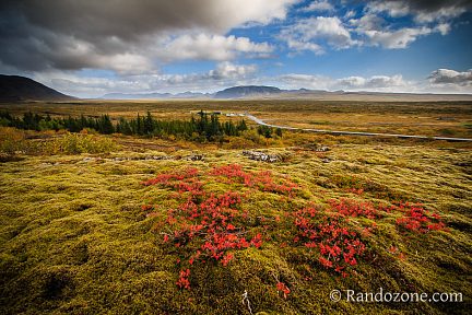 Couleurs d'automne à Thingvellir