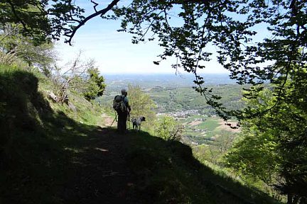 Dans la descente du Monné de Bagnères