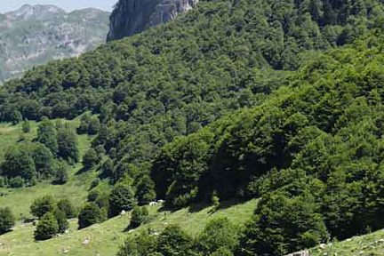 cabane d'Espélunguère