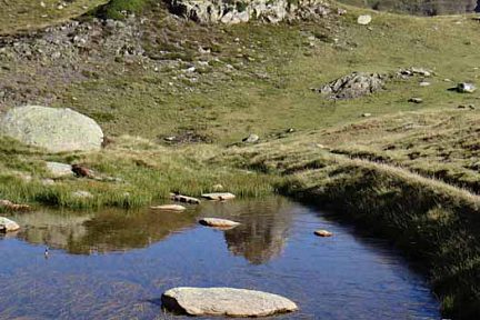 Saoubiste