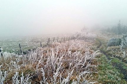 GR65 à côté du village d'Aubrac