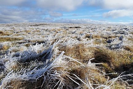 Il fait bien froid au point culminant de l'Aubrac