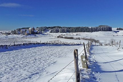 GR65 : Draille qui mène à Aubrac
