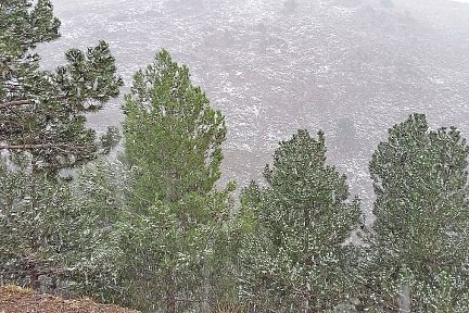 Il neige dans les montagnes 